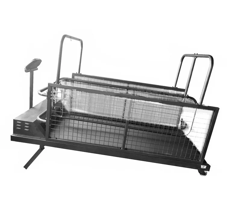 Най-добрата машина за бягане на кучета