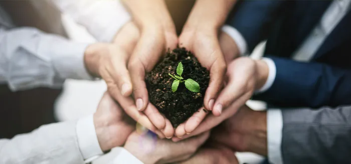 Възобновяеми енергийни източници